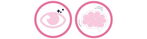 Desarrollo cerebral y visua