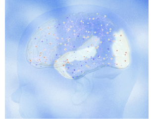 Desarrollo de la función cognitiva del bebé