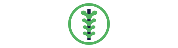 Desarrollo del Tubo Neural