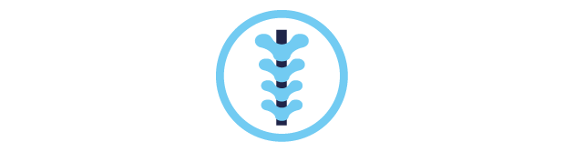 Desarrollo del Tubo Neural