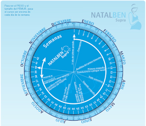 Calculadora semanas embarazo