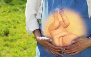 Desarrollo de la función cognitiva del bebé