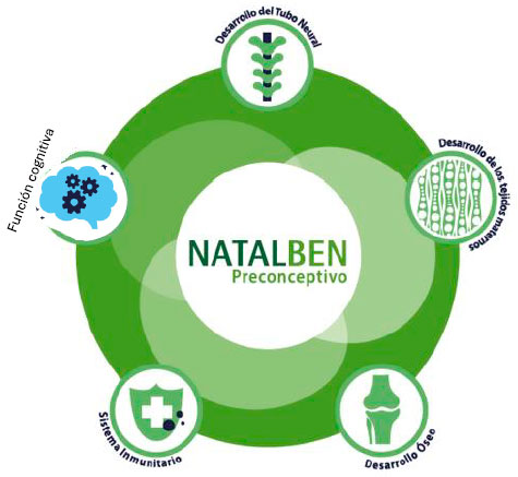 Papel de los principales componentes de NATALBEN Preconceptivo
