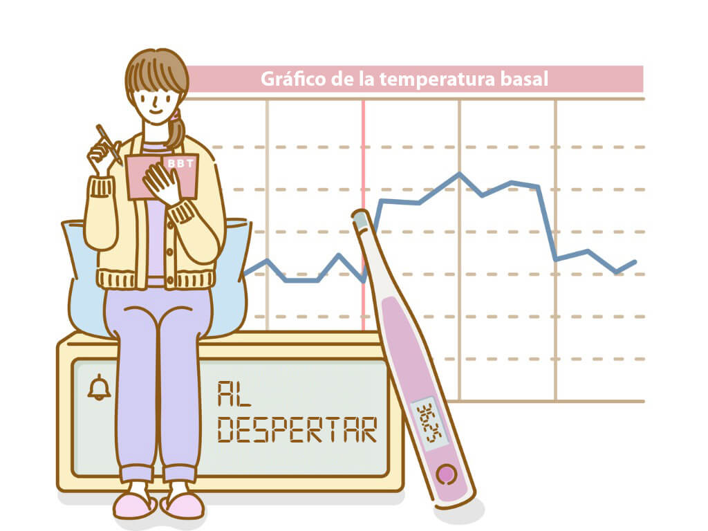 Síntomas de ovulación