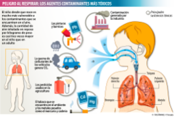 Pulmones del niño y tóxicos: cómo afectan al desarrollo